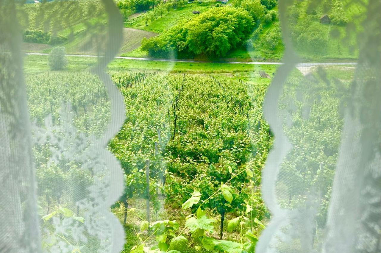 Wine Paradise Sveti Ivan Zelina Екстериор снимка