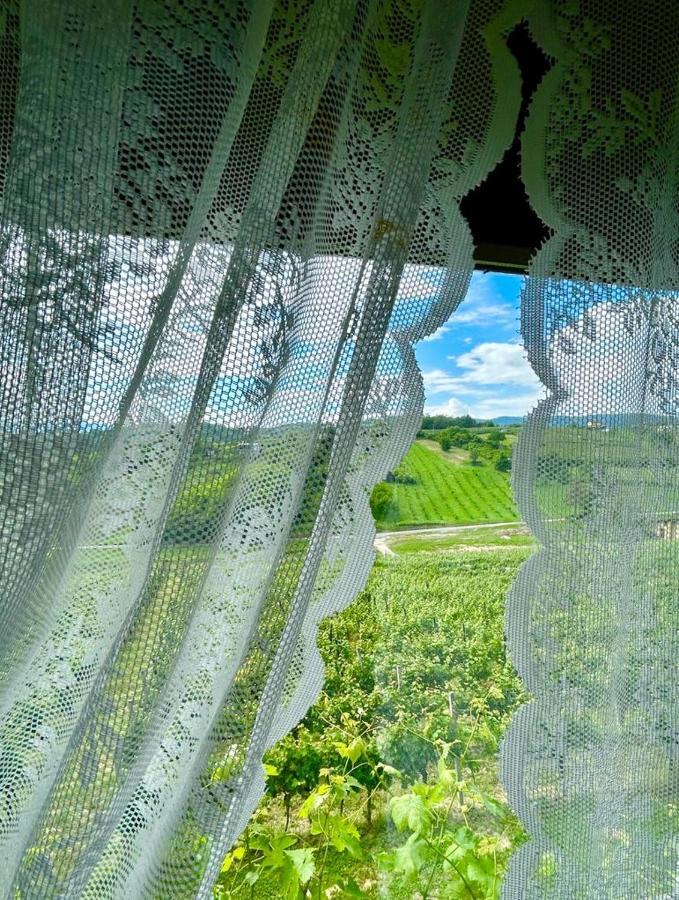 Wine Paradise Sveti Ivan Zelina Екстериор снимка