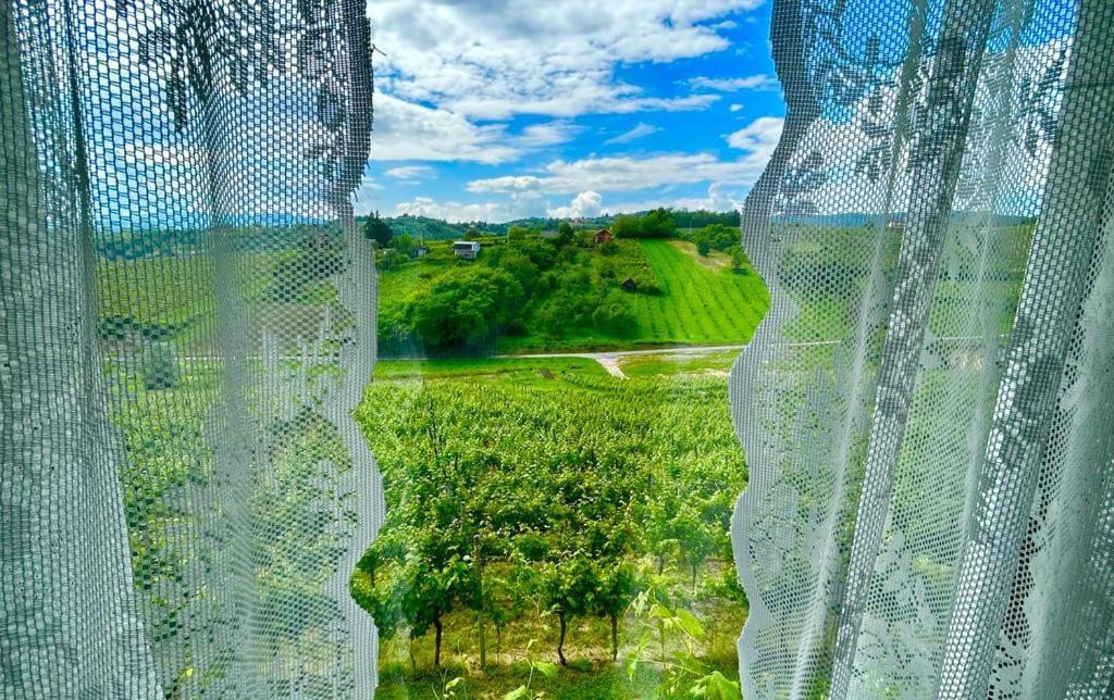Wine Paradise Sveti Ivan Zelina Екстериор снимка