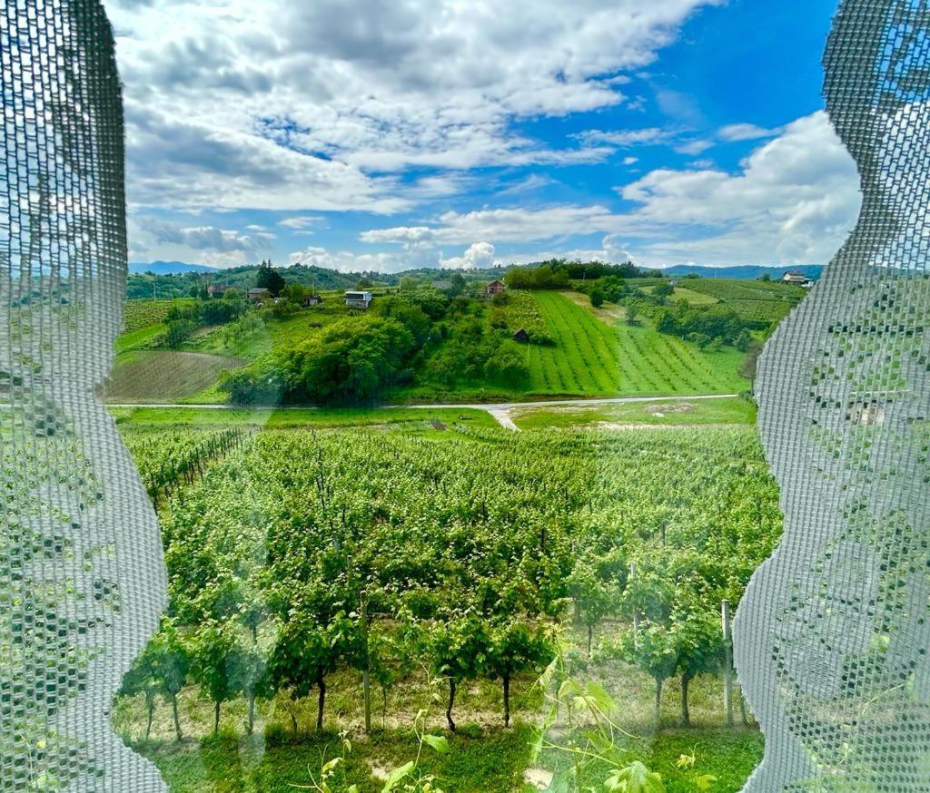 Wine Paradise Sveti Ivan Zelina Екстериор снимка