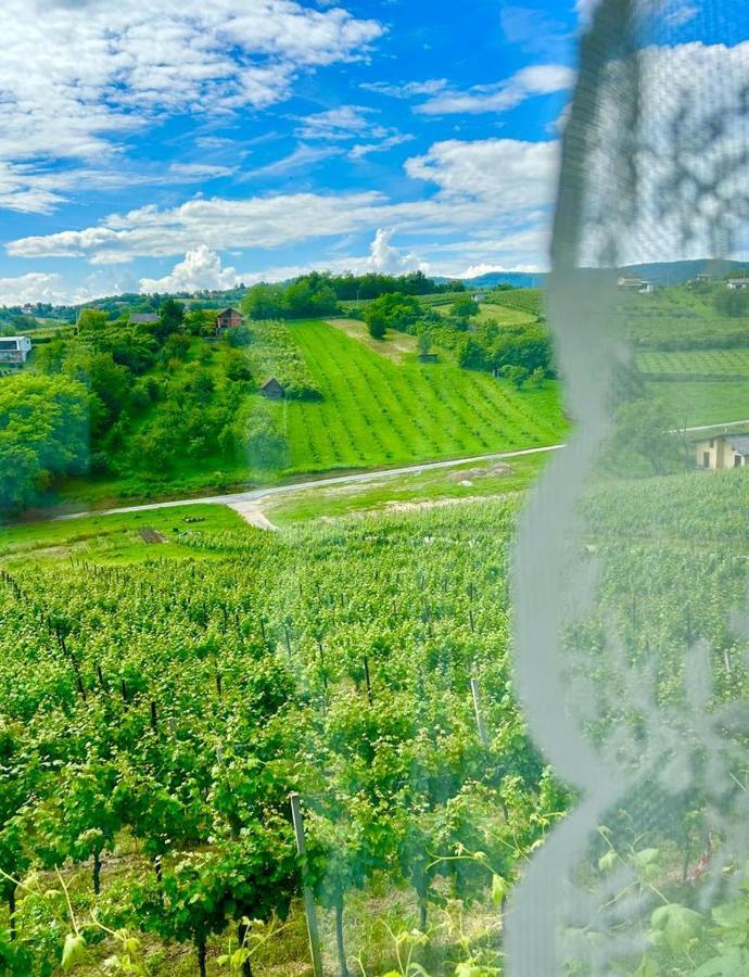 Wine Paradise Sveti Ivan Zelina Екстериор снимка