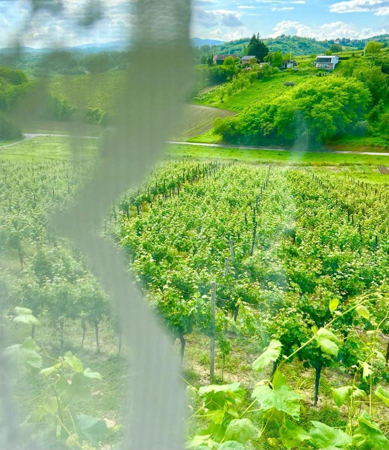 Wine Paradise Sveti Ivan Zelina Екстериор снимка