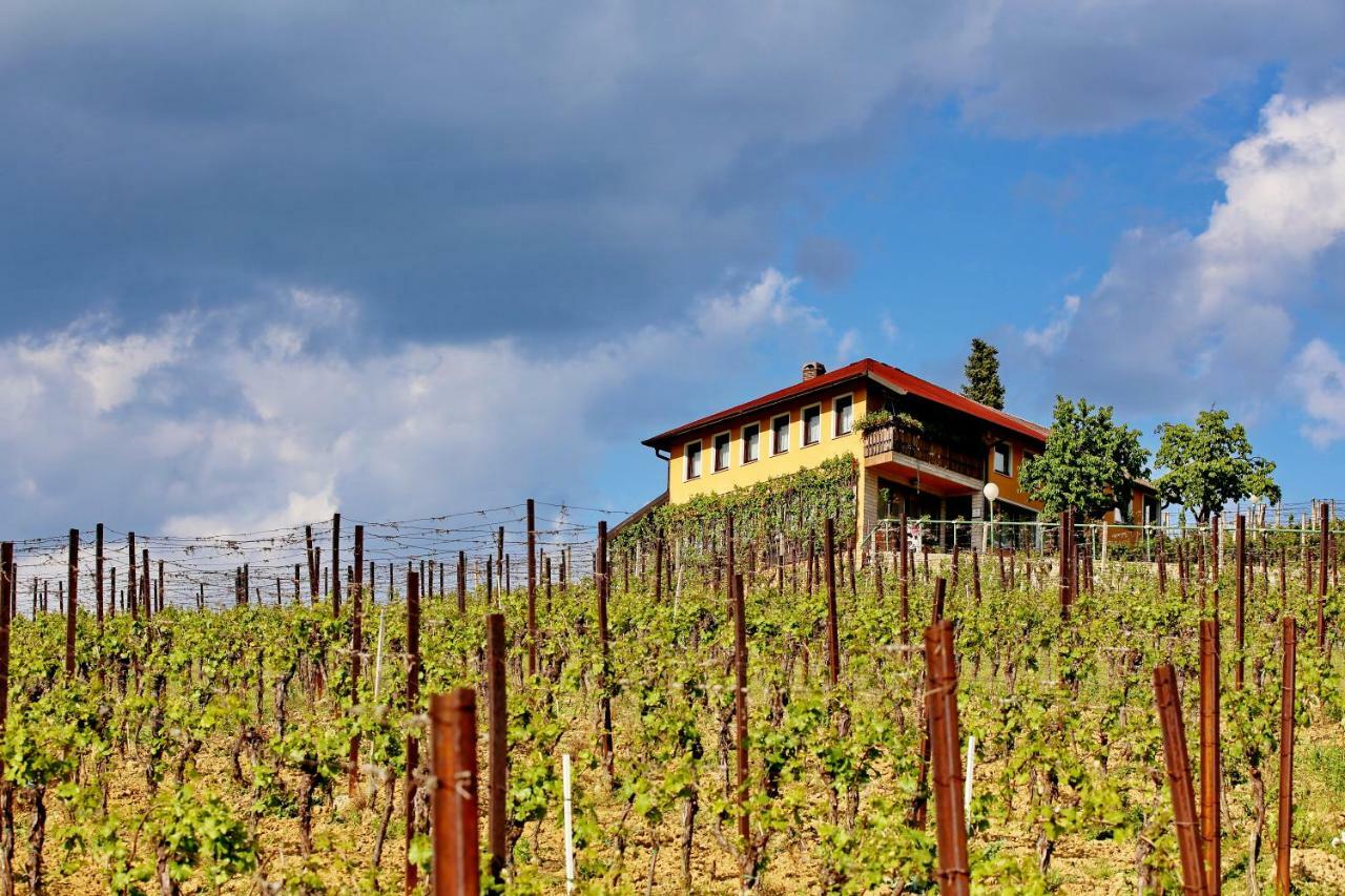 Wine Paradise Sveti Ivan Zelina Екстериор снимка