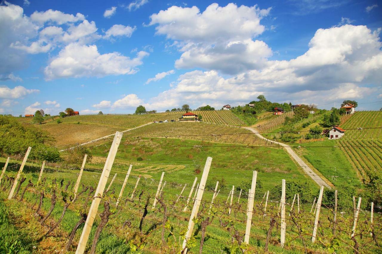 Wine Paradise Sveti Ivan Zelina Екстериор снимка